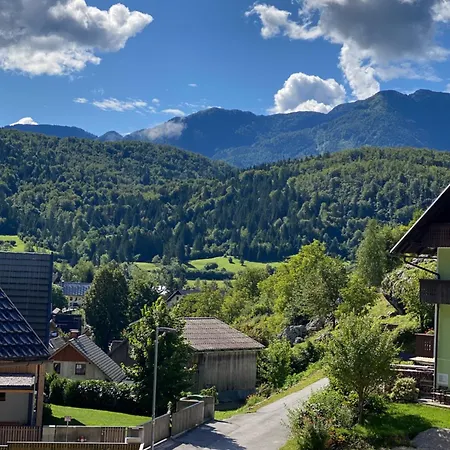 Mountain View In * Bohinj