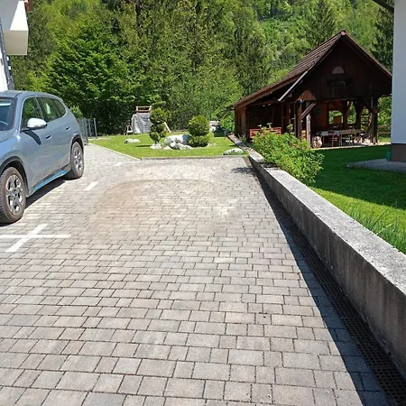 Mountain View In Bohinj