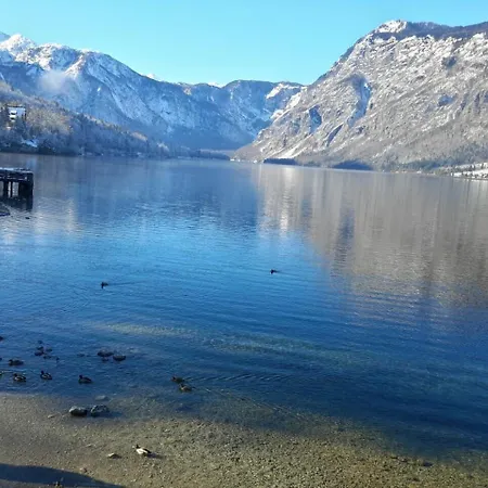 Mountain View In