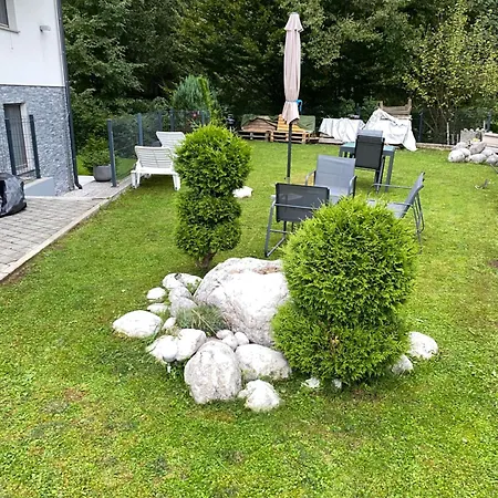 Mountain View In Bohinj