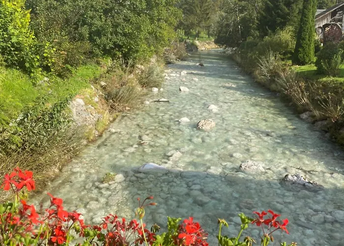 アパート Mountain View In